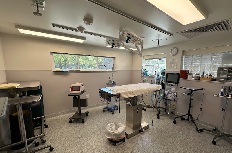 Burleigh Road Animal Hospital photo 3