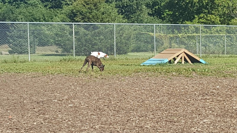 Flying Cloud Dog Park