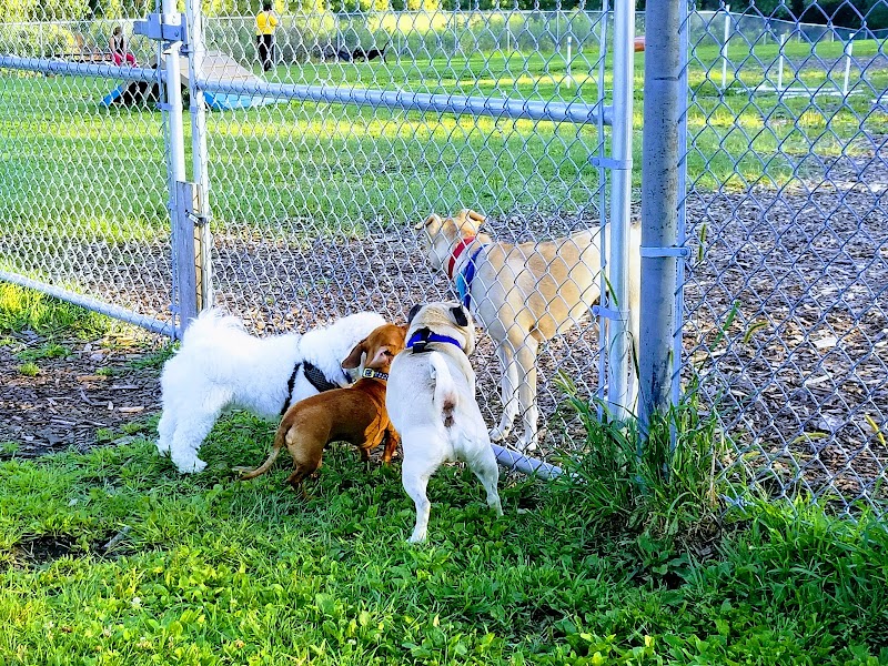 Flying Cloud Dog Park photo 2