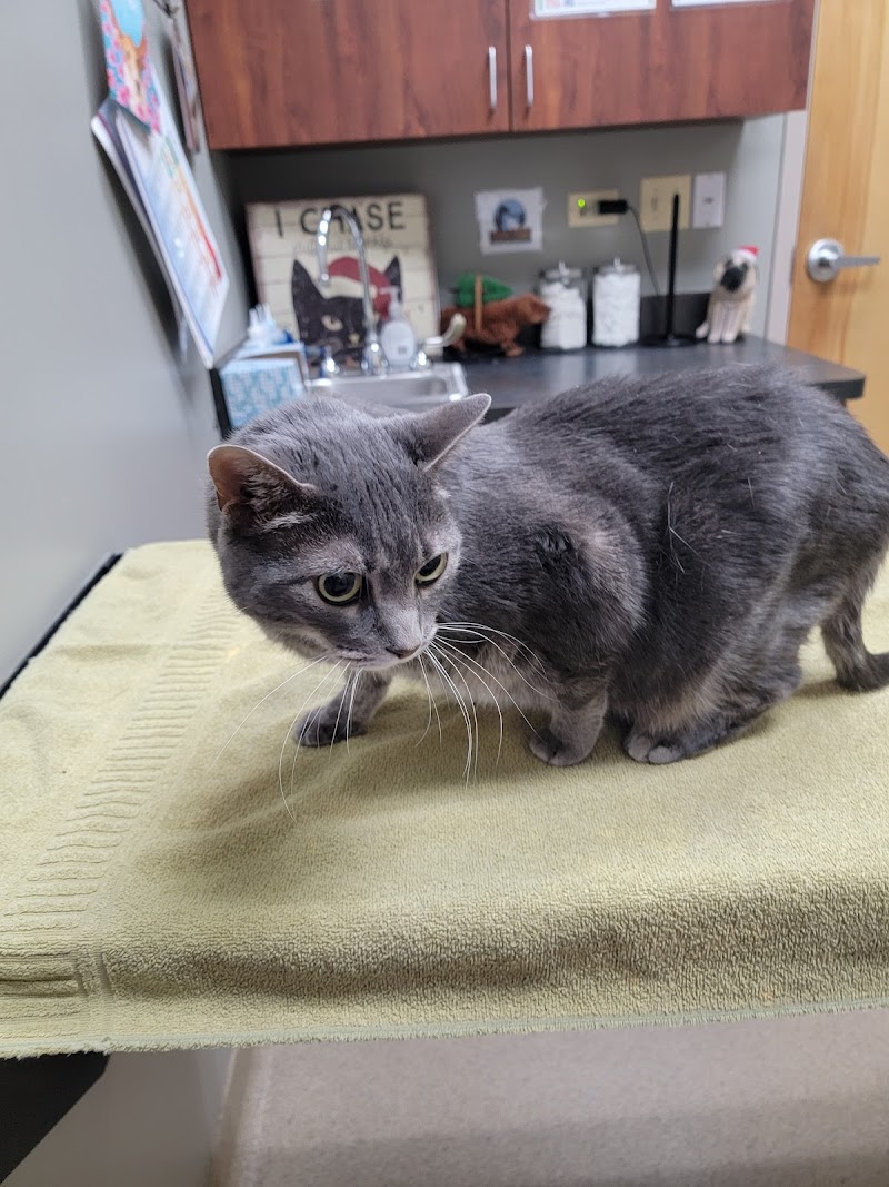 Danada Veterinary Hospital