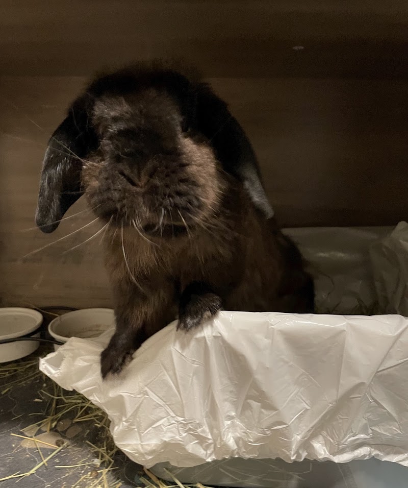 Danada Veterinary Hospital photo 2