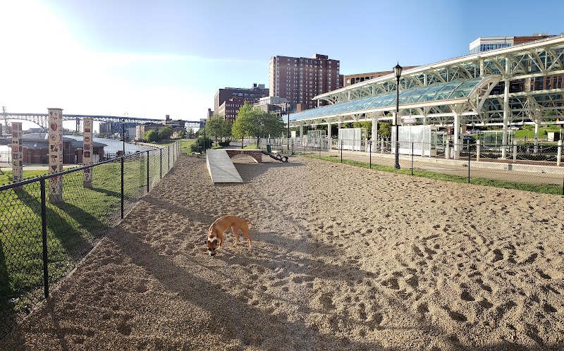 Downtown Dog Park photo 3