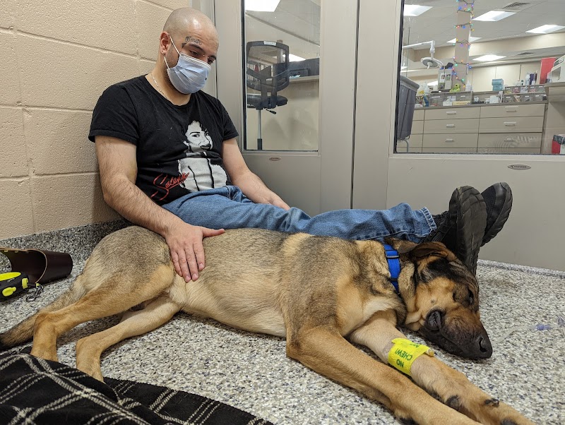 Roberts & Wendt Animal Hospital photo 3