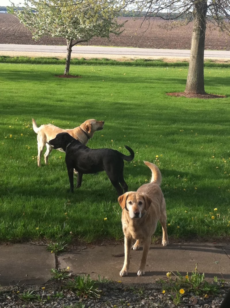 Invisible Fence of Southern Wisconsin