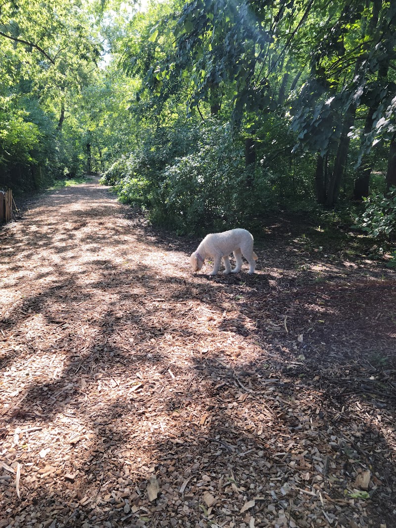 Muttland Meadows photo 3