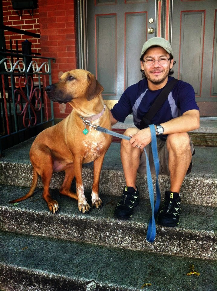 Super Dog Walking photo 2