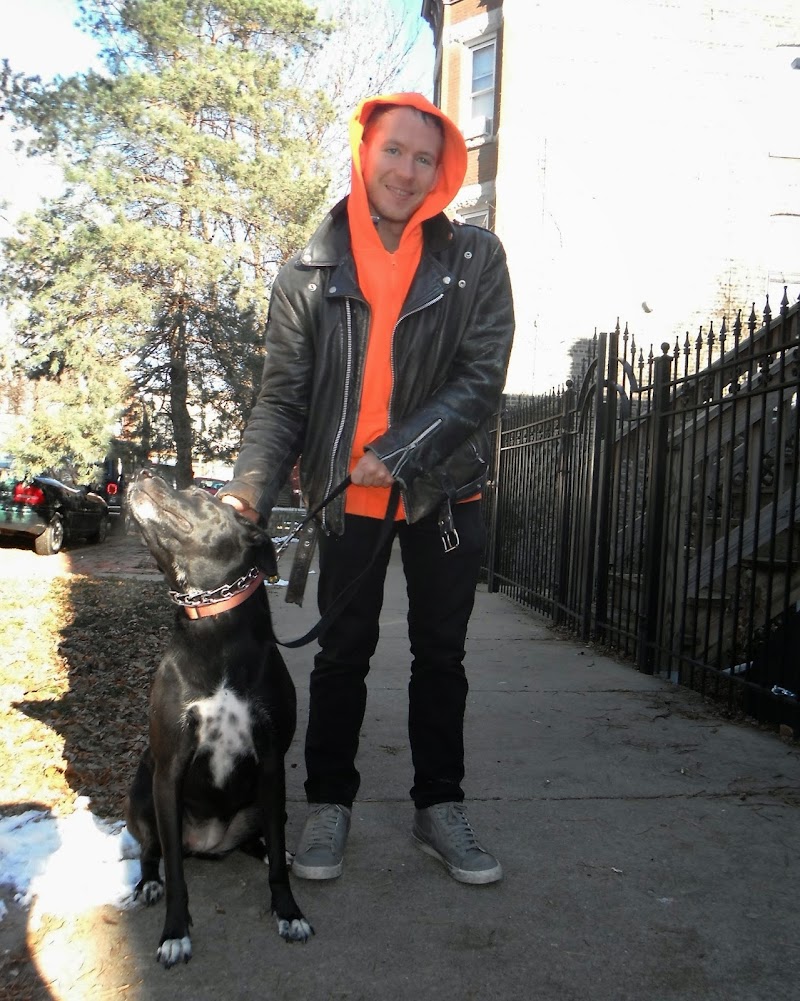 Super Dog Walking photo 3