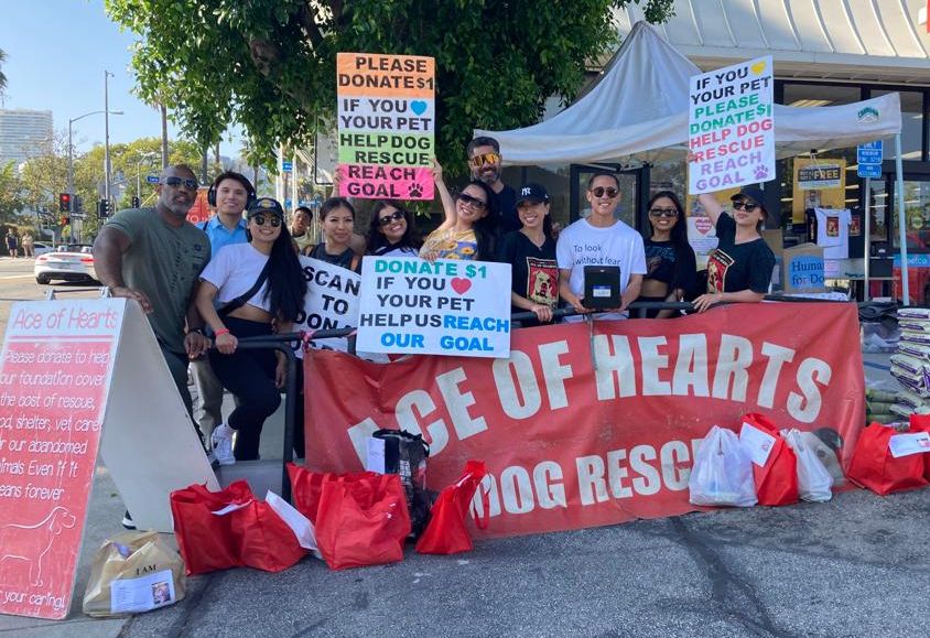 Ace of Hearts Dog Rescue