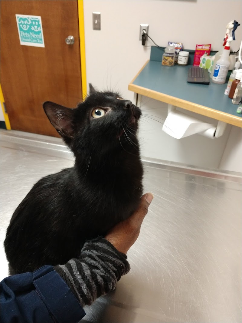 Jefferson Veterinary Center photo 2