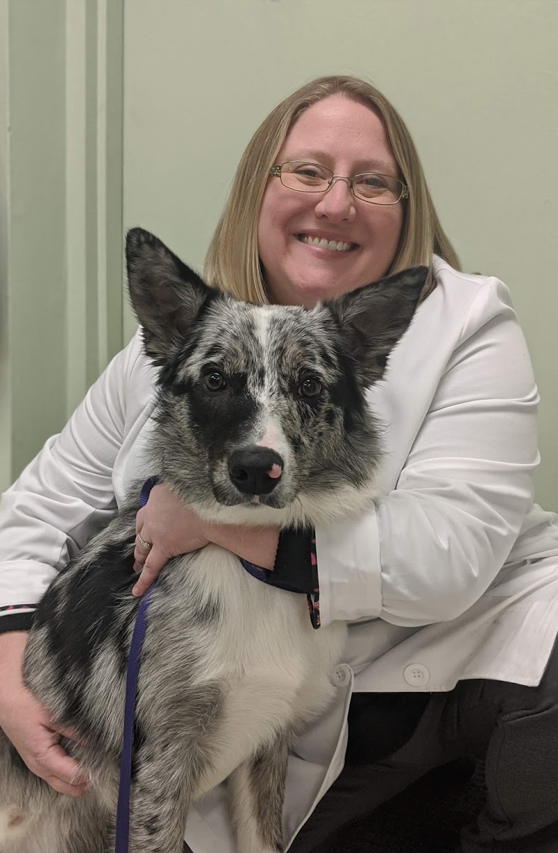 Emerald Animal Hospital photo 2