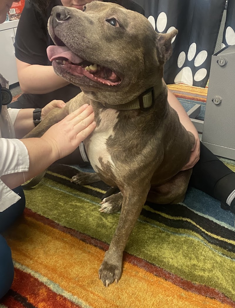 Emerald Animal Hospital photo 3