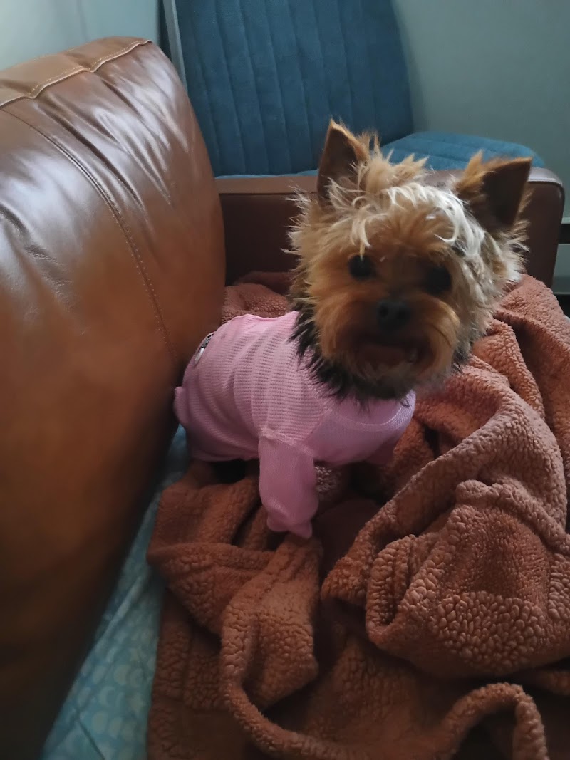 Underdog Rescue photo 2