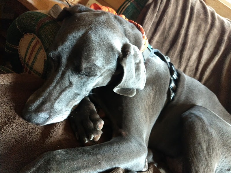 Chuck & Don's Pet Food & Supplies photo 3