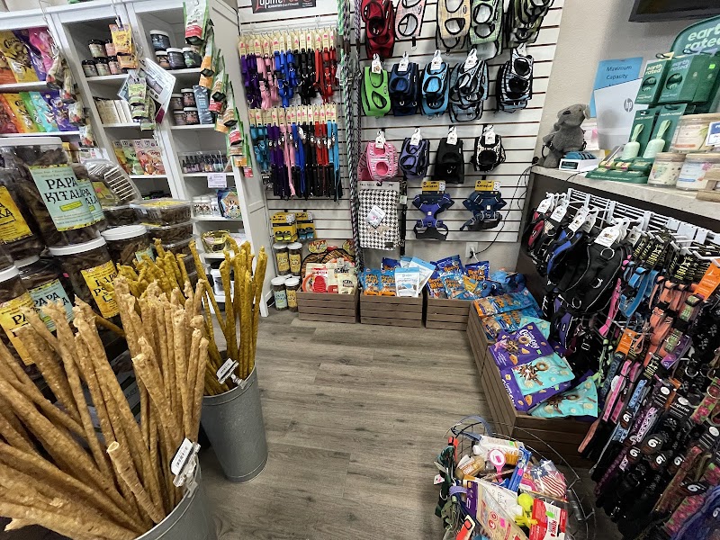 All About Paws photo 2