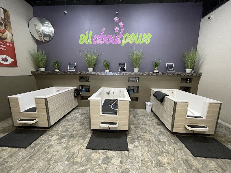 All About Paws photo 3