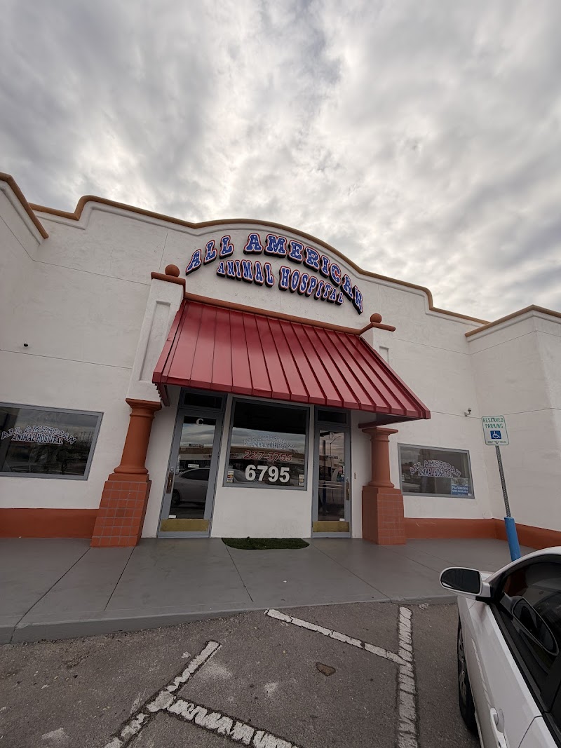 All American Animal Hospital