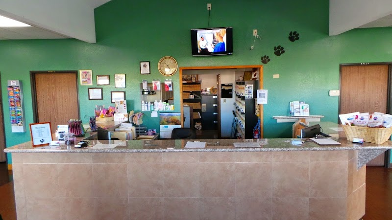 All American Animal Hospital photo 2