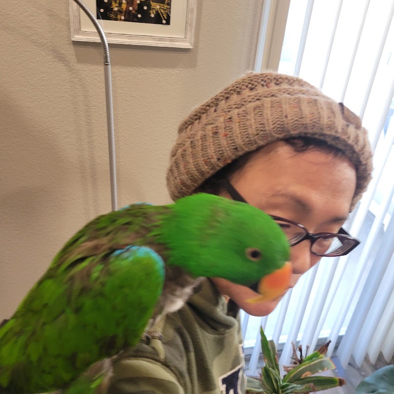 All Around Pet Care LLC photo 2