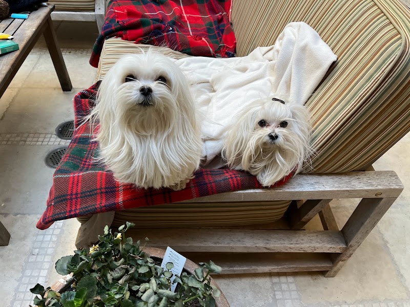 All Around Pet Care LLC photo 3