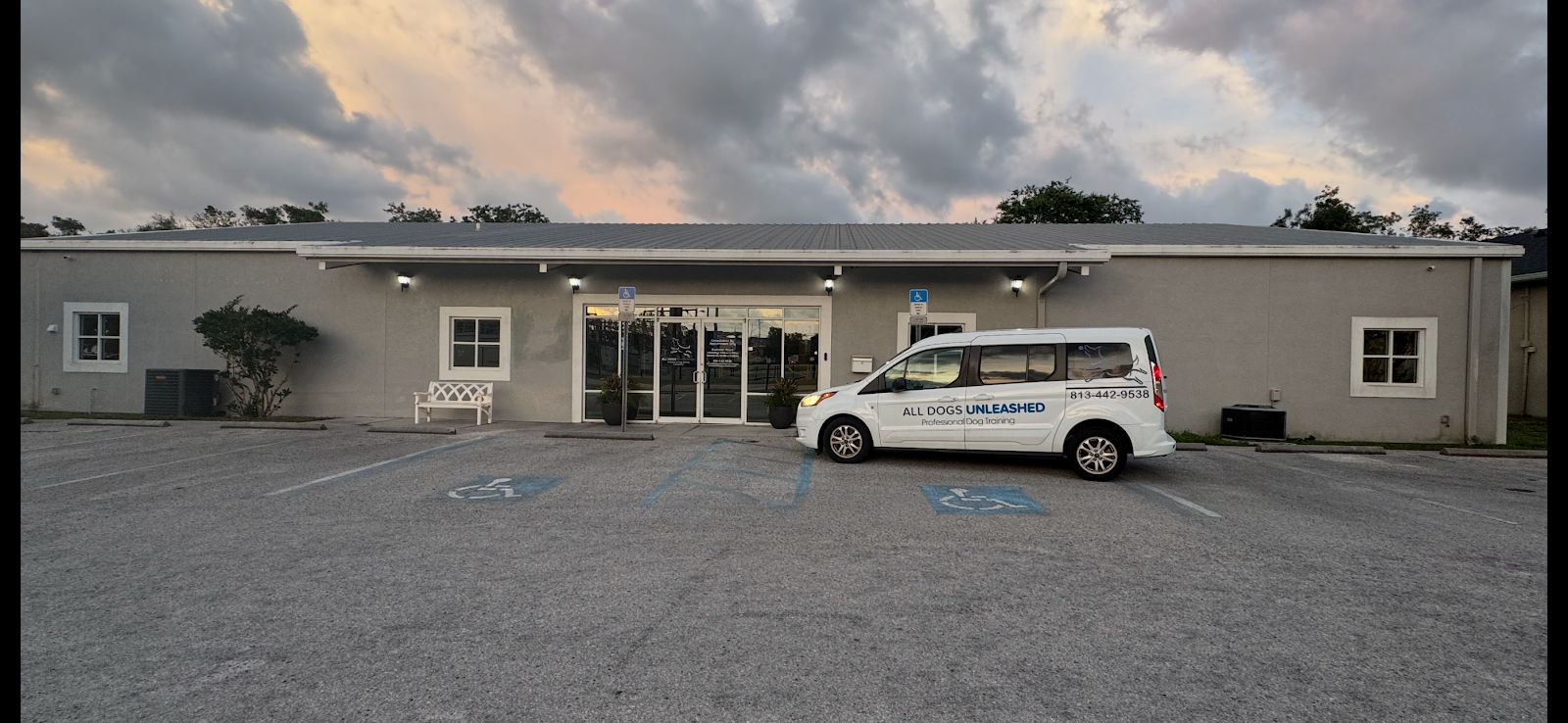 All Dogs Unleashed Dog Training Tampa