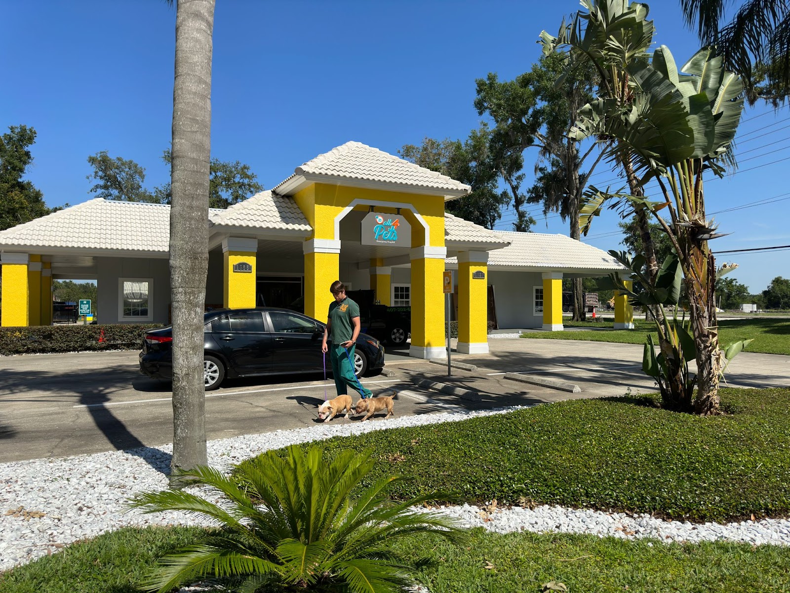 All4Pets Hospital