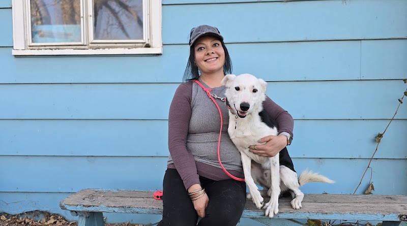 American Canine Academy Dog Training