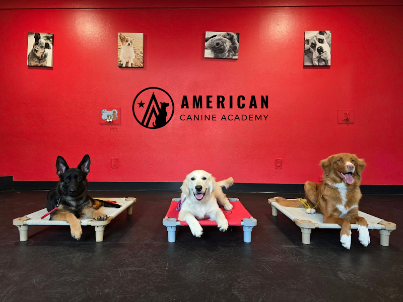 American Canine Academy Dog Training photo 2