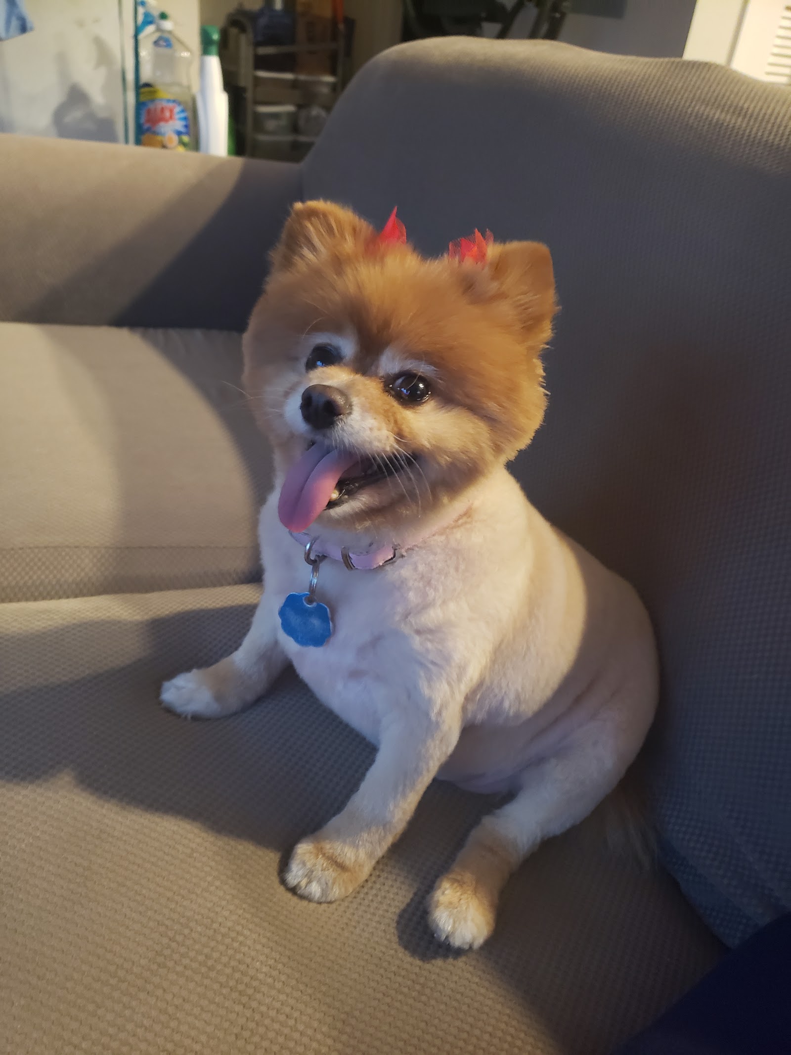 AMG Atlanta Meet The Groomers