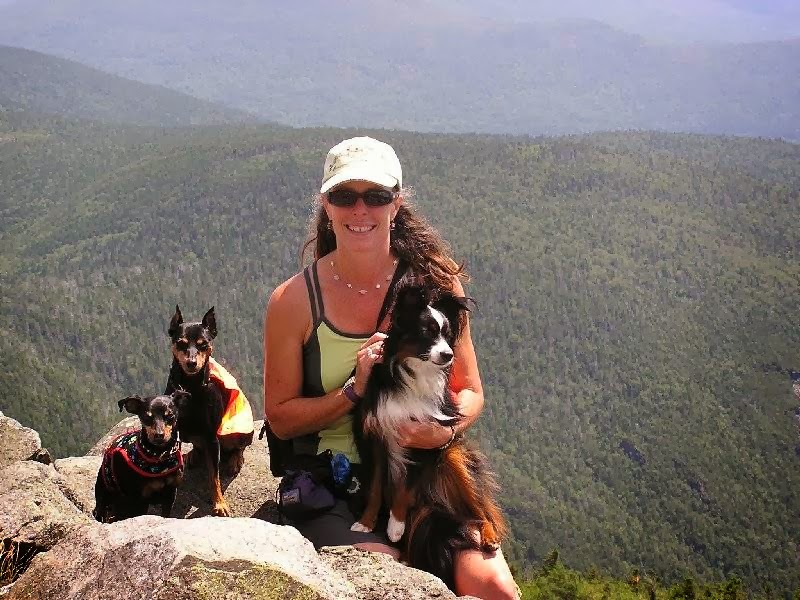 Amy's Animal Care