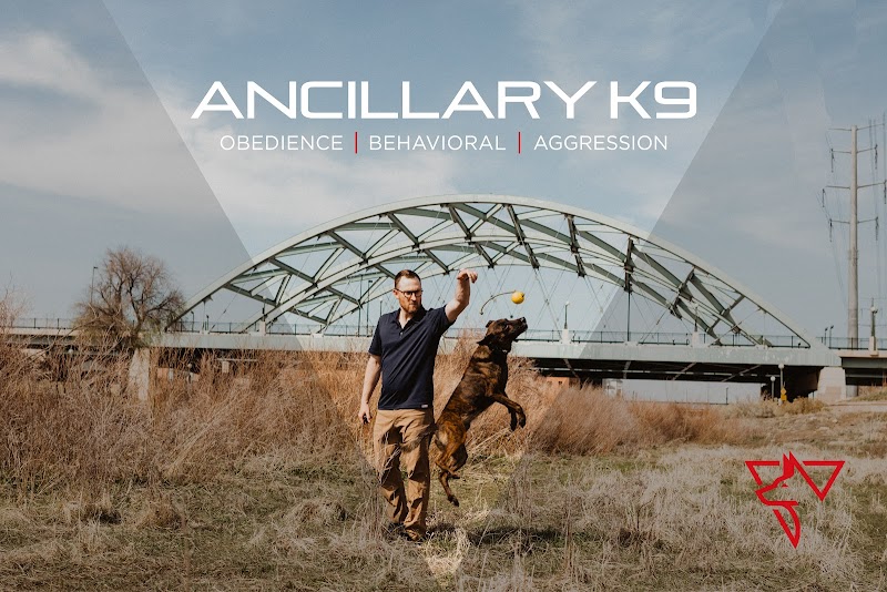 Ancillary K9 Dog Training