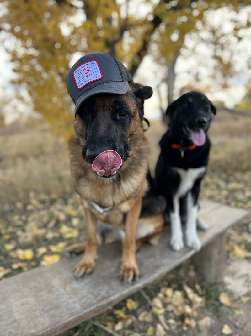 Ancillary K9 Dog Training photo 2