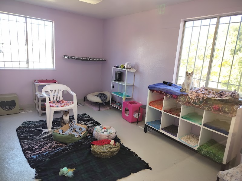 Angels With Paws photo 2