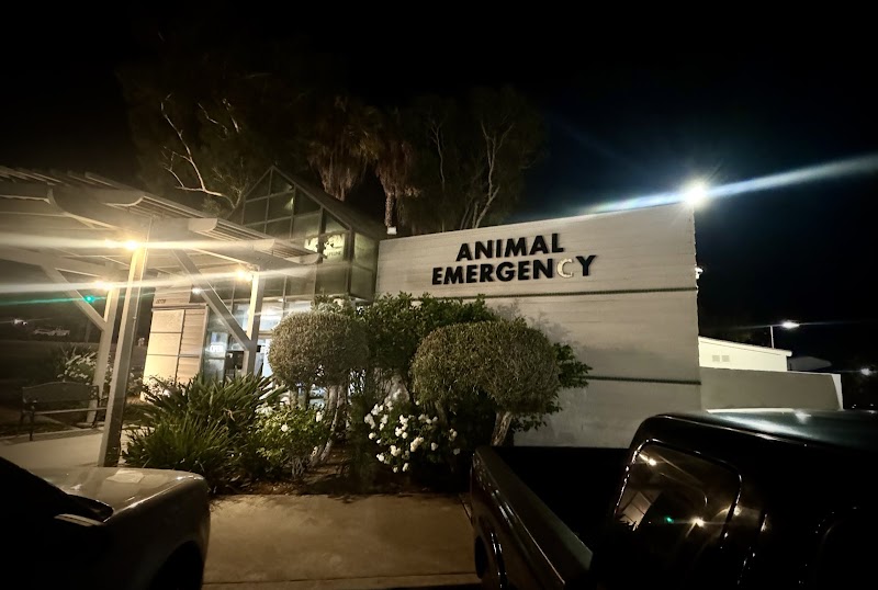 Animal Emergency Clinic of San Diego