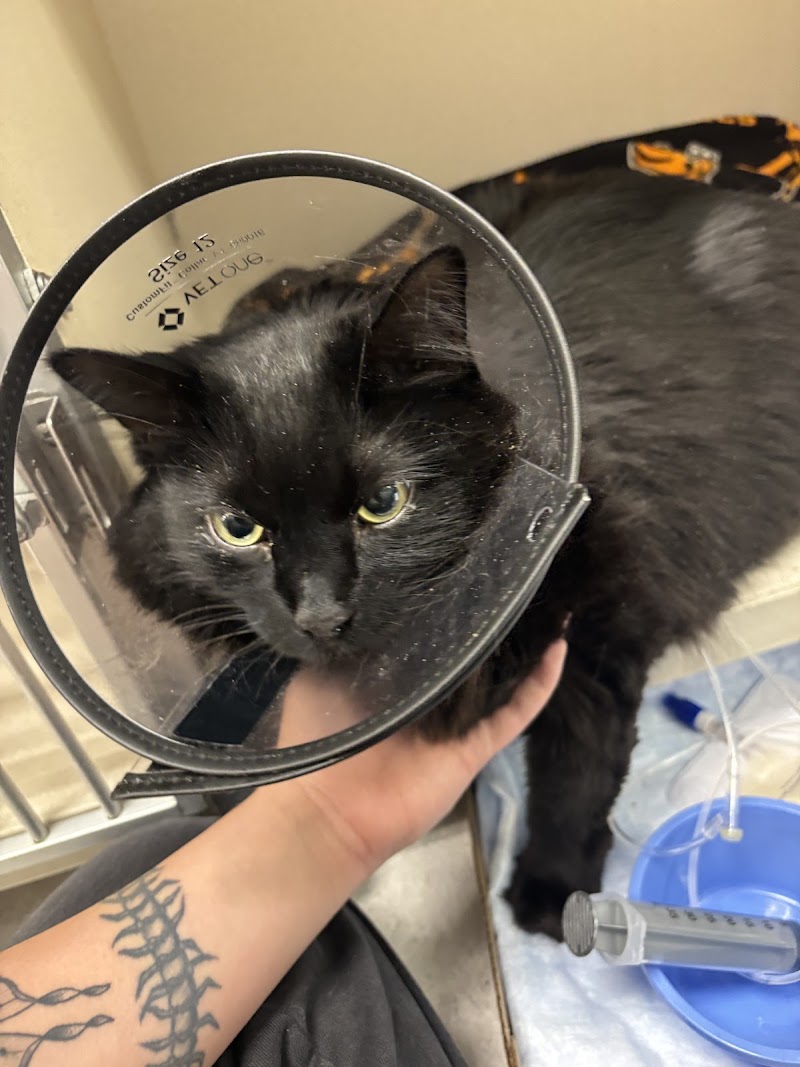 Animal Emergency & Specialty Center photo 2