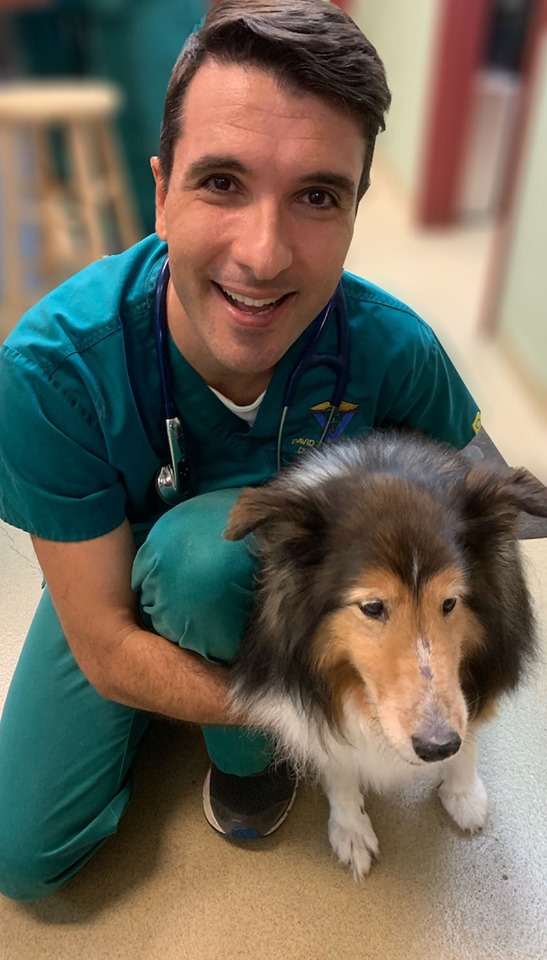 Animal Hospital at Baldwin Park