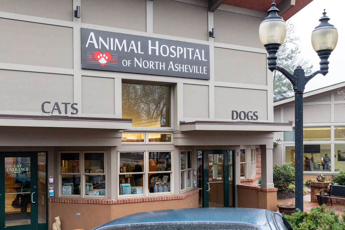 Animal Hospital of North Asheville