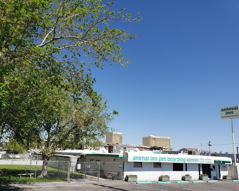 Animal Inn Pet Boarding Kennel