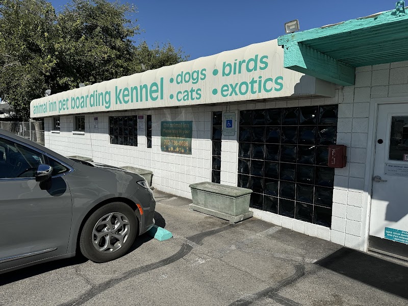 Animal Inn Pet Boarding Kennel photo 2