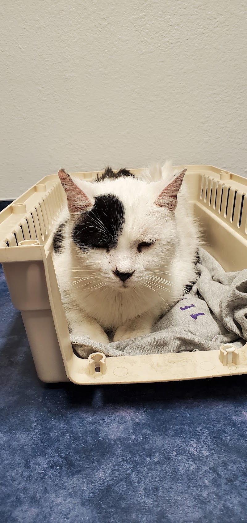 Animal Kindness Veterinary Hospital