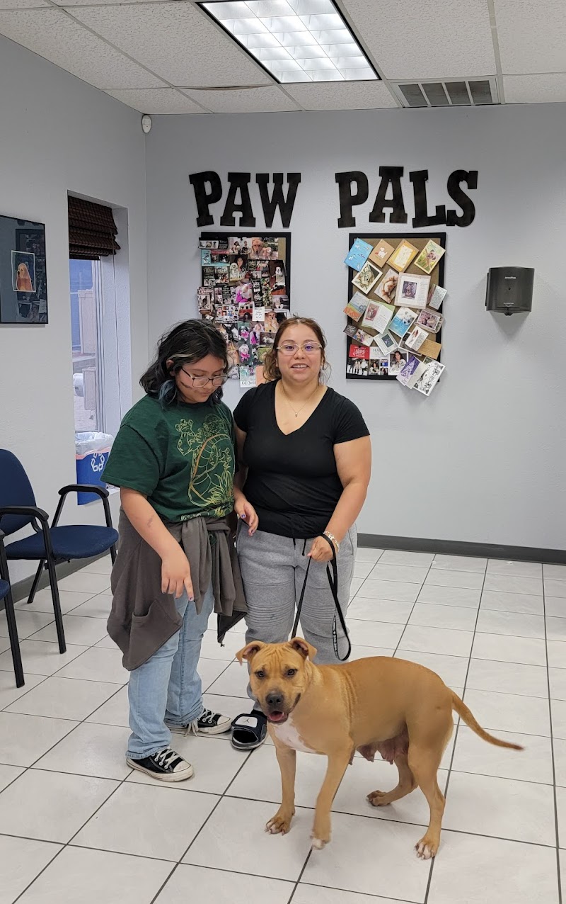 Animal Medical Center of Austin photo 2