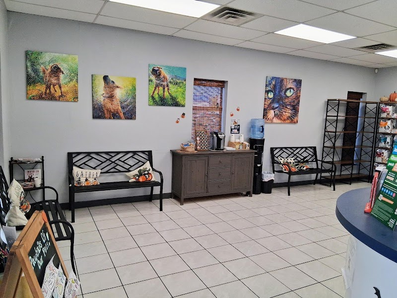 Animal Medical Center of Austin photo 3