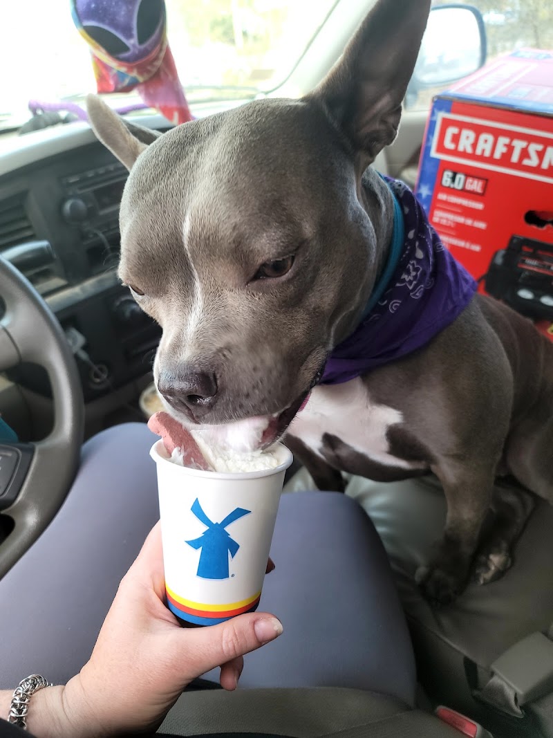 Animal Network photo 2