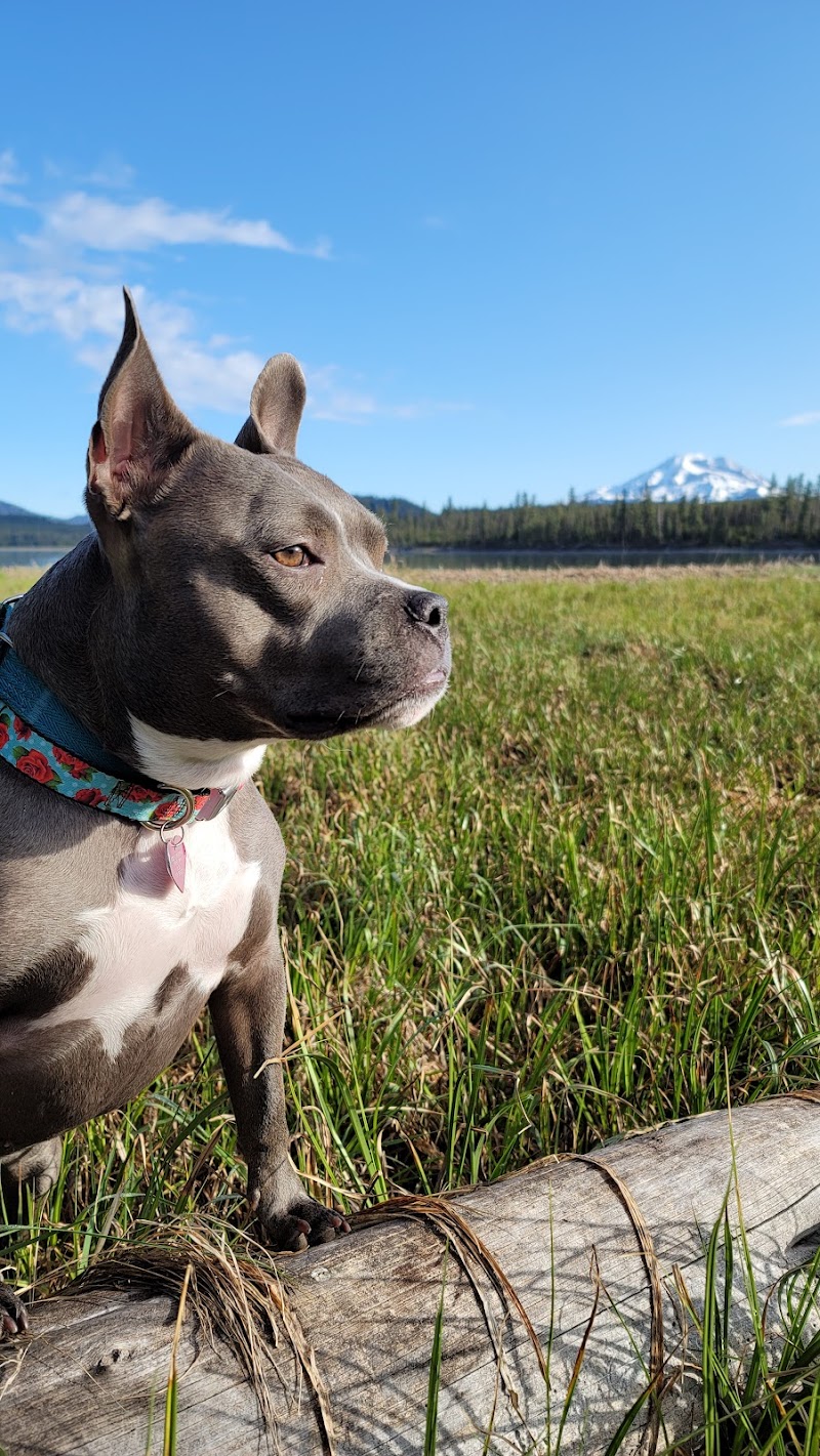 Animal Network photo 3