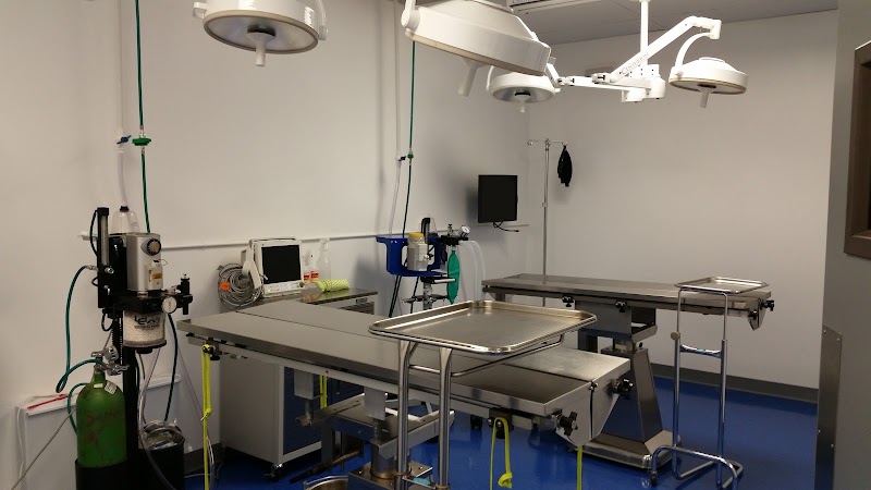 Animal Outpatient Surgery of San Diego and Blue Sky Veterinary Services, Inc. photo 3