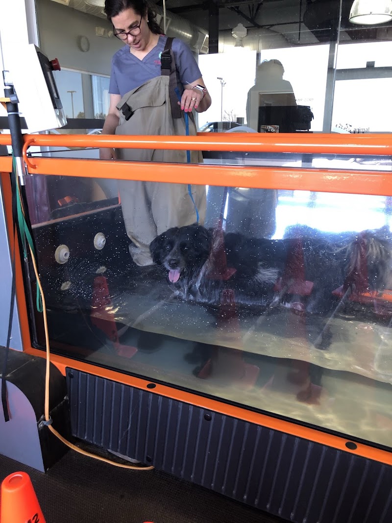 Animal Rehabilitation And Wellness Center