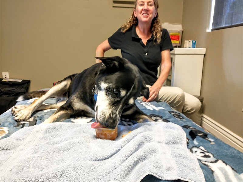 Animal Rehabilitation Center of Western Colorado photo 2