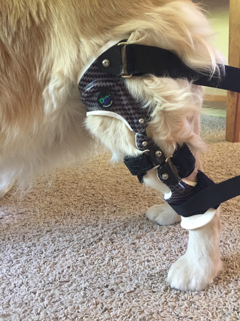 Animal Rehabilitation Center of Western Colorado photo 3