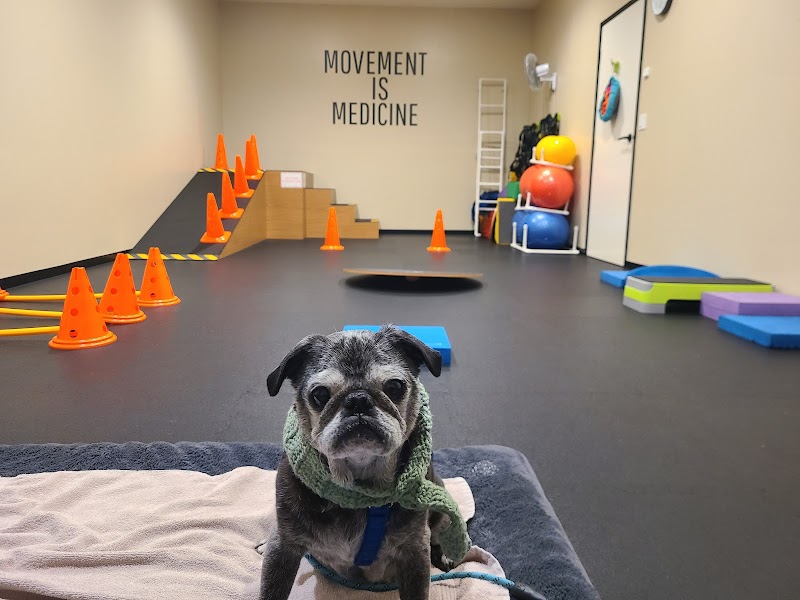 Animals Only photo 2