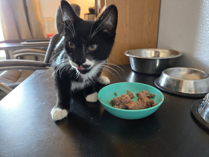 Ann Road Animal Hospital photo 2