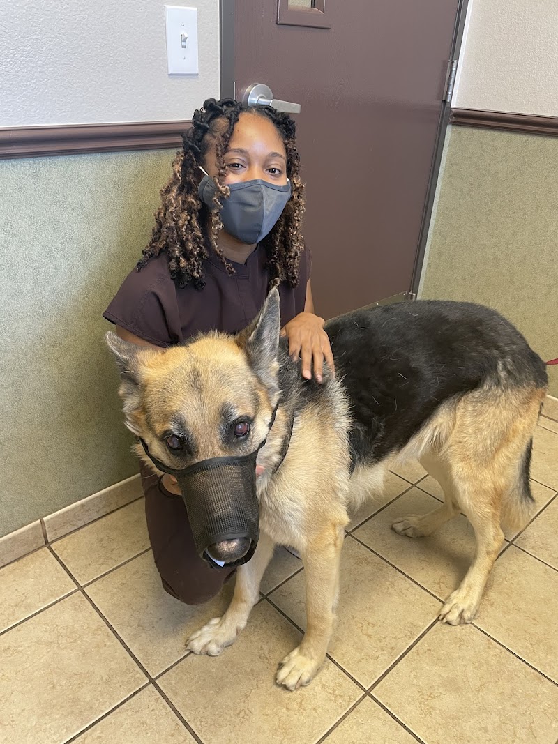 Ann Road Animal Hospital photo 3